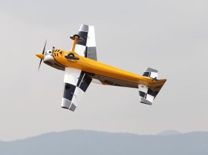 Pilot RC 67" Extra NG Scheme 06 Yellow