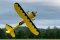 Legacy Aviation 110" Muscle Bipe Yellow/Black
