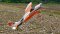 Pilot RC SkyWolf V2 67"  Scheme 05 Orange