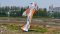 Pilot RC SkyWolf V2 67"  Scheme 05 Orange